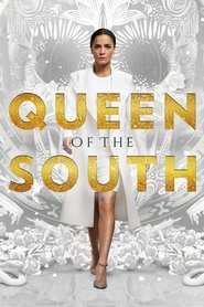 Queen of the South – La regina del sud Streaming