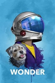 Wonder HD 2017